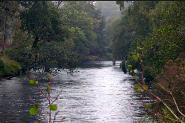 Moody shot river Screenshot 2021-06-01 at 23.23.34 Revised MTS